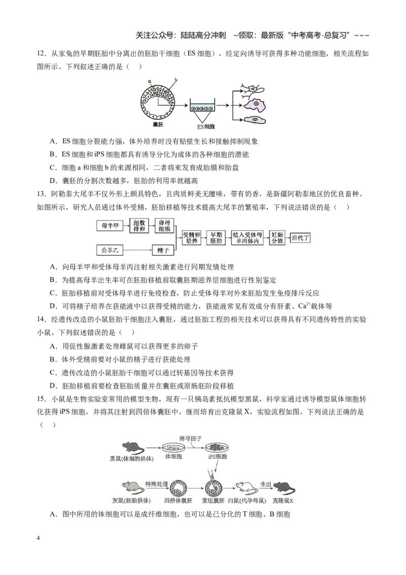 《第41讲胚胎工程（专项训练）（四川专用）（学生版）_06-生物-高考总复习_一轮复习_2026年-生物高考一轮复习_2026年高考生物一轮课件+讲义+练习（四川专用）-G335》第4页预览