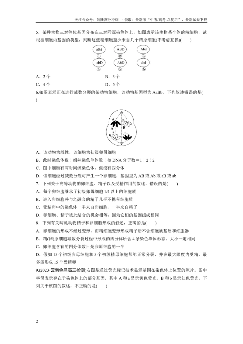 《第4单元　课时练3　减数分裂和受精作用_06-生物-高考总复习_一轮复习_2024年_2024高考生物大一轮复习课件讲义新人教版知识总结_2024年高考生物一轮复习讲义（新人教版）_一轮复习69练》第2页预览