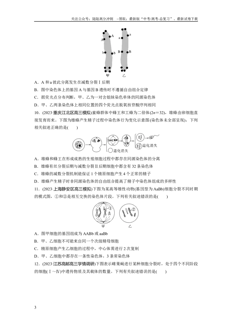 《第4单元　课时练3　减数分裂和受精作用_06-生物-高考总复习_一轮复习_2024年_2024高考生物大一轮复习课件讲义新人教版知识总结_2024年高考生物一轮复习讲义（新人教版）_一轮复习69练》第3页预览
