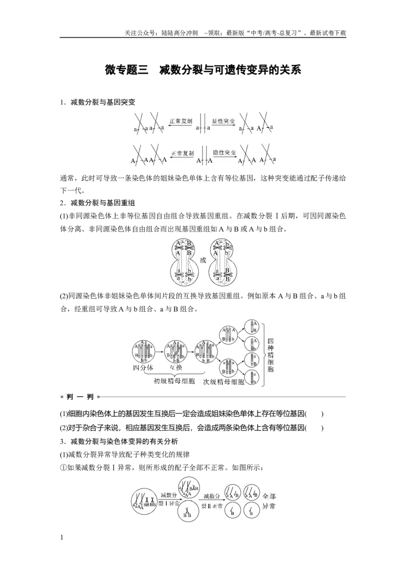 《第4单元　微专题三　减数分裂与可遗传变异的关系_06-生物-高考总复习_一轮复习_2024年_2024高考生物大一轮复习课件讲义新人教版知识总结_2024年高考生物一轮复习讲义（新人教版）》第1页预览