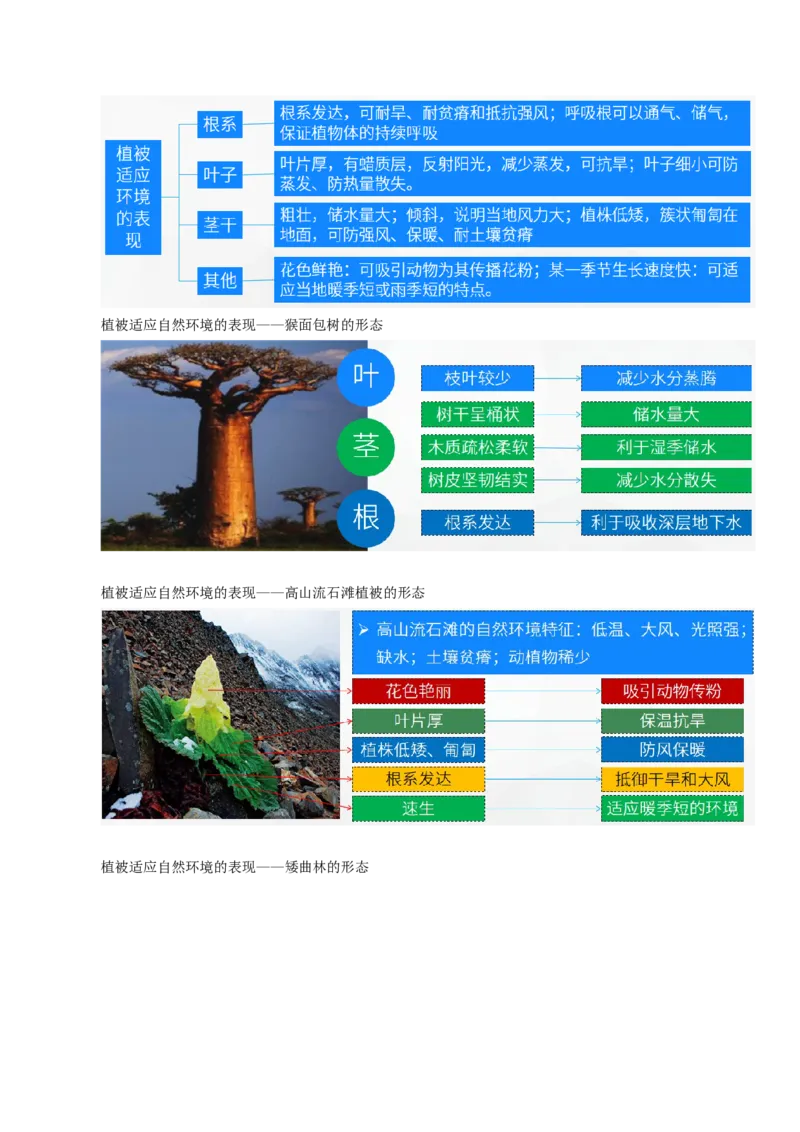 《专题18生物与环境（重难专练）（全国通用）（教师版）_地理_2026年-地理高考专项复习_2026年高考地理重难点讲义专练（新高考通用）-G102_2026版》第3页预览