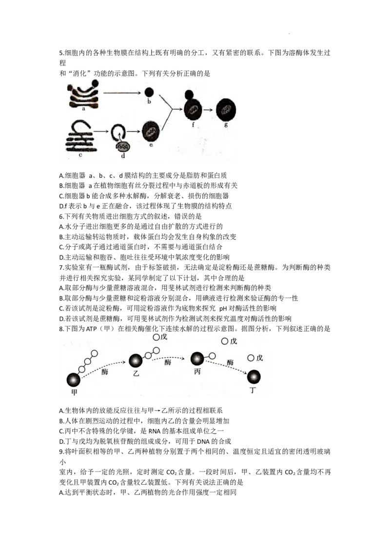 《26_山西省太原市2022-2023学年高三上学期期末测试生物_2025版教学资源包_（总复习系列）2025版《5年高考3年模拟》新高考版A版（⭐全科）_2025版.新高考版.选考总复习.生物.5·3A版》第2页预览
