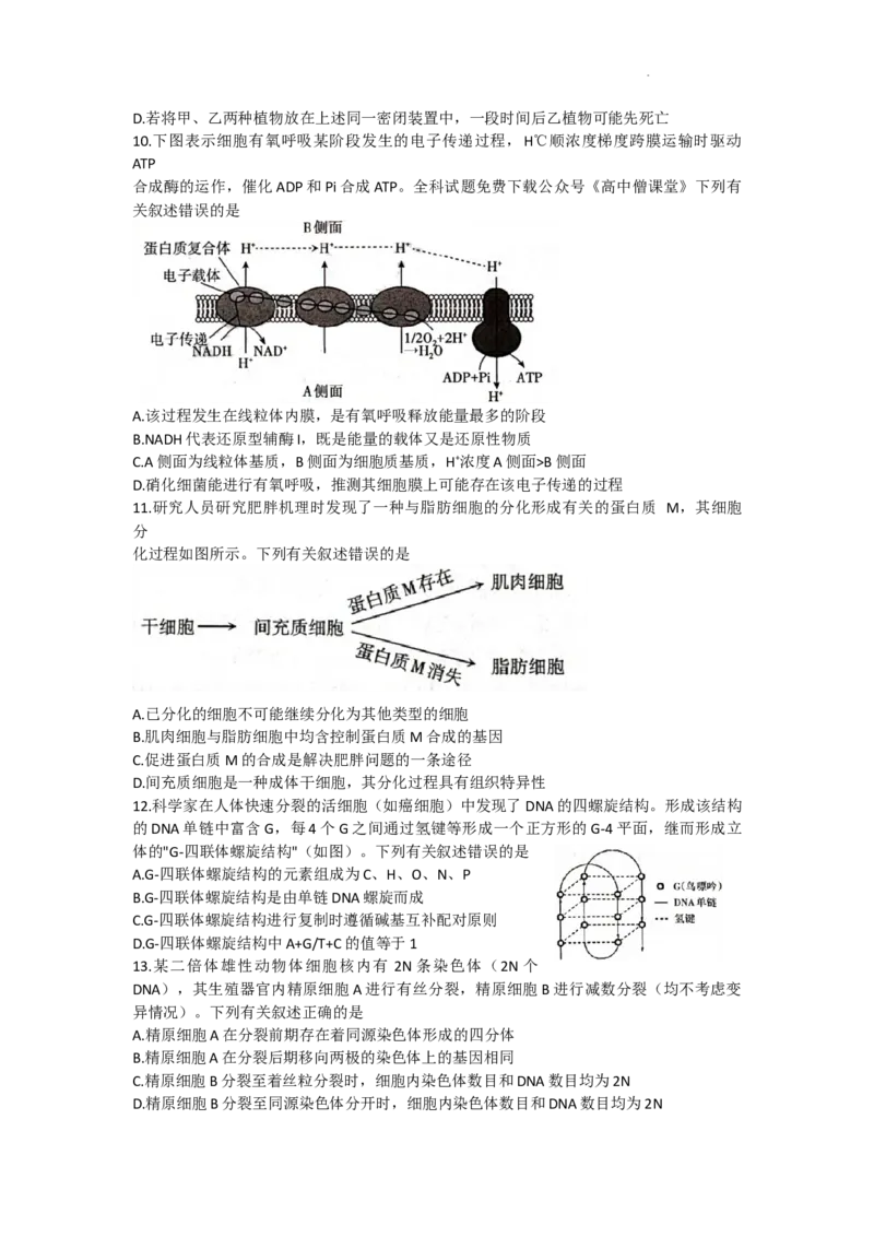 《26_山西省太原市2022-2023学年高三上学期期末测试生物_2025版教学资源包_（总复习系列）2025版《5年高考3年模拟》新高考版A版（⭐全科）_2025版.新高考版.选考总复习.生物.5·3A版》第4页预览