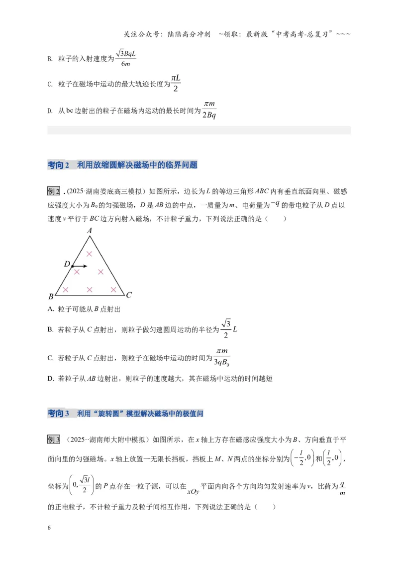 《第48讲动态圆、磁聚焦和磁发散问题（湖南专用）（学生版）_04-物理-高考总复习_一轮复习_2026年-物理高考一轮复习_2026年高考物理一轮课件+讲义+练习（湖南专用）-G331》第6页预览