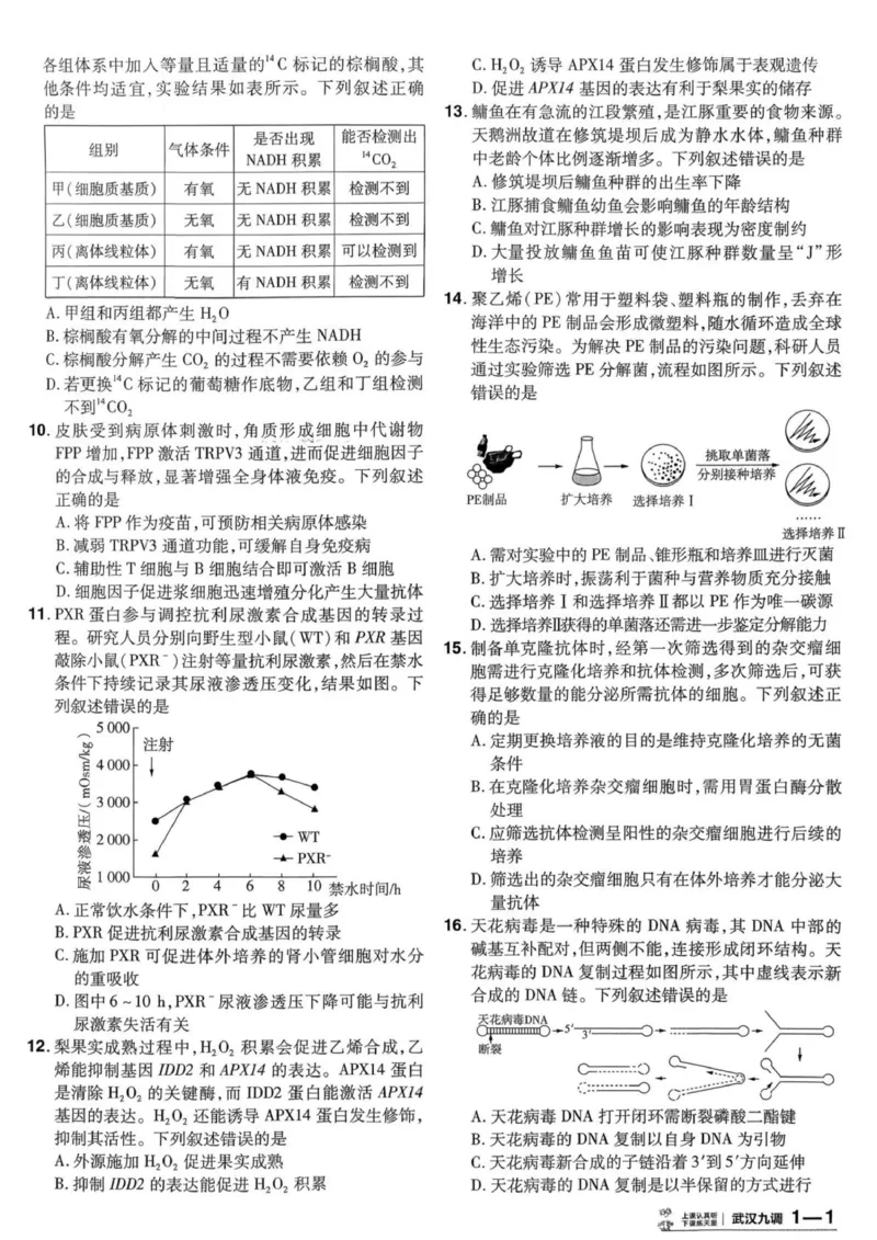 《试题册_652027《天星教育•金考卷特快专递》（第1-3期）（高考）（9科全）_2027《天星教育•金考卷特快专递》（第3期）（高考）（9科全）_383》第7页预览