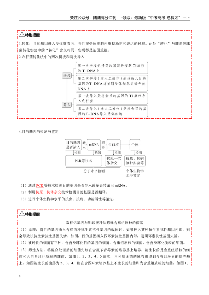 《第42讲基因工程以及生物技术的安全性和伦理问题（知识清单）（全国通用）（教师版）_06-生物-高考总复习_一轮复习_2026年-生物高考一轮复习_2026版_第十单元生物技术与工程》第9页预览
