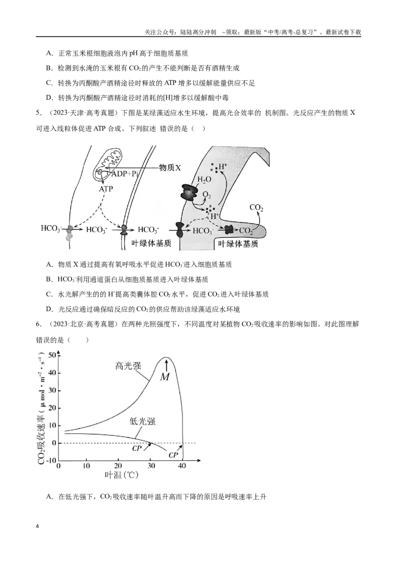 《第3天光合作用与呼吸作用（原卷版）_06-生物-高考总复习_专项复习_2024年_2024年高考生物考前15天夺分必备_资料》第4页预览