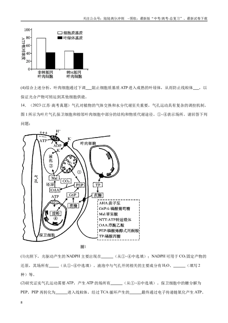 《第3天光合作用与呼吸作用（原卷版）_06-生物-高考总复习_专项复习_2024年_2024年高考生物考前15天夺分必备_资料》第8页预览