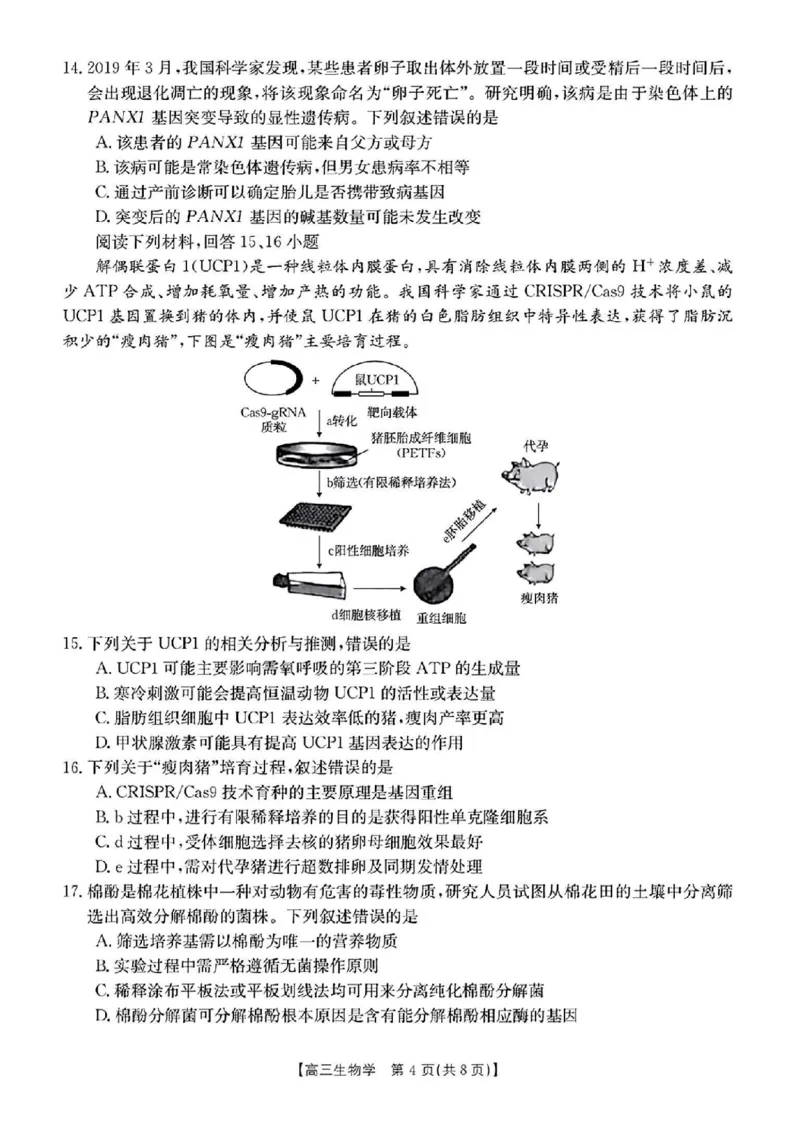 《28_浙江省强基联盟2023—2024学年高三上学期9月联考生物试题_2025版教学资源包_（总复习系列）2025版《5年高考3年模拟》新高考版A版（⭐全科）_2025版.新高考版.选考总复习.生物.5·3A版》第4页预览