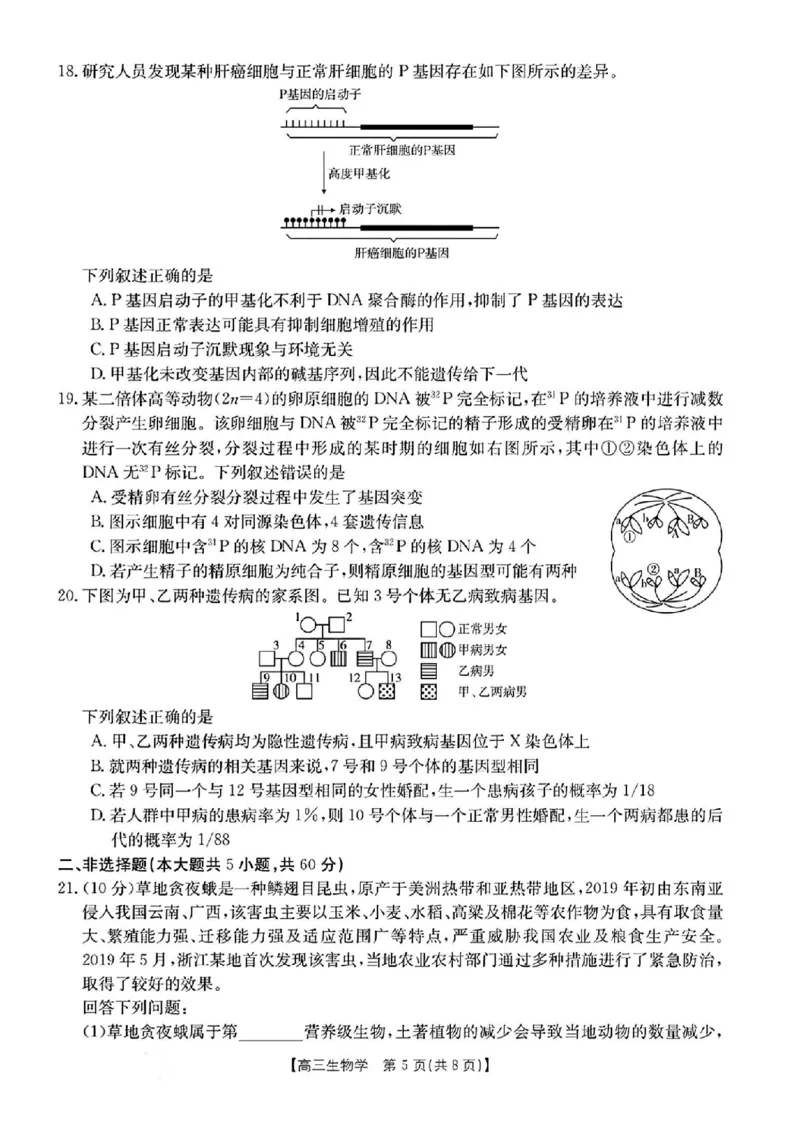 《28_浙江省强基联盟2023—2024学年高三上学期9月联考生物试题_2025版教学资源包_（总复习系列）2025版《5年高考3年模拟》新高考版A版（⭐全科）_2025版.新高考版.选考总复习.生物.5·3A版》第5页预览