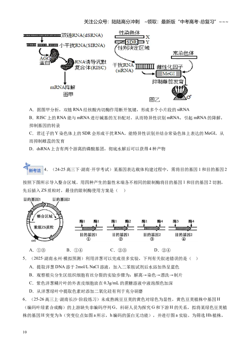《第42讲基因工程及生物技术的安全性和伦理问题（专项训练）（学生版）_06-生物-高考总复习_一轮复习_2026年-生物高考一轮复习_2026年高考生物一轮课件+讲义+练习（湖南专用）-G331》第10页预览