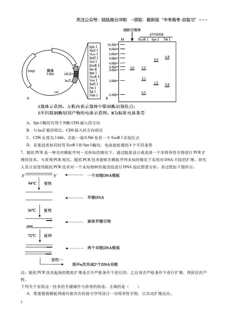 《第42讲基因工程及生物技术的安全性和伦理问题（专项训练）（学生版）_06-生物-高考总复习_一轮复习_2026年-生物高考一轮复习_2026年高考生物一轮课件+讲义+练习（湖南专用）-G331》第3页预览