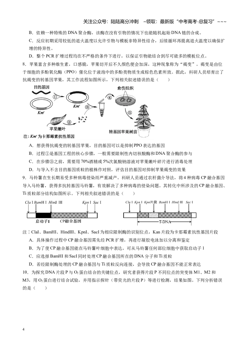 《第42讲基因工程及生物技术的安全性和伦理问题（专项训练）（学生版）_06-生物-高考总复习_一轮复习_2026年-生物高考一轮复习_2026年高考生物一轮课件+讲义+练习（湖南专用）-G331》第4页预览