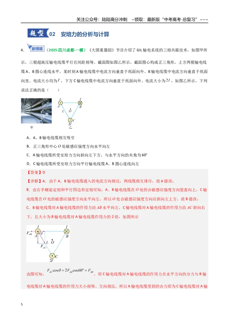 《第46讲磁场及其对电流的作用（专项训练）（全国通用）（教师版）_04-物理-高考总复习_一轮复习_2026年-物理高考一轮复习_2026年高考物理一轮复习讲义+练习+课件（新教材新高考）-G55》第5页预览