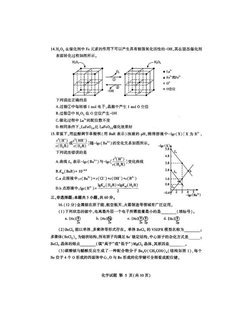 《32_05化学山东临沂市（二模）试卷+标答评分细则_2025版教学资源包_（总复习系列）2025版《5年高考3年模拟》新高考版B版（⭐全科）_2025版.新高考新教材版.选考总复习.化学.5·3B版》第5页预览