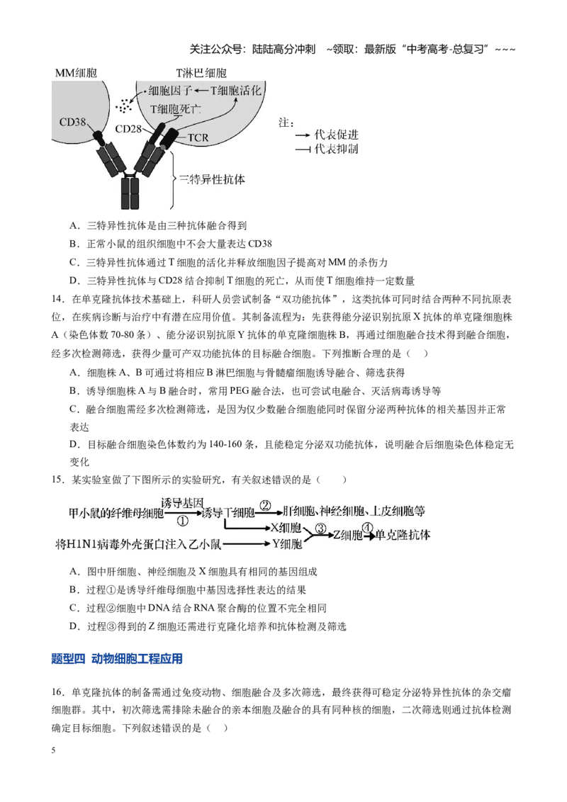《第40讲动物细胞工程（专项训练）（学生版）_06-生物-高考总复习_一轮复习_2026年-生物高考一轮复习_2026年高考生物一轮课件+讲义+练习（湖南专用）-G331》第5页预览