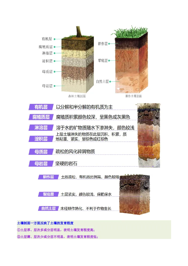 《专题16土壤特征与土壤盐分平衡（重难专练）（全国通用）（教师版）_地理_2026年-地理高考专项复习_2026年高考地理重难点讲义专练（新高考通用）-G102_2026版》第6页预览