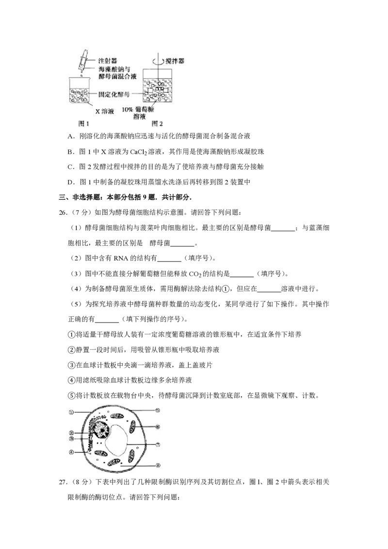 《2010年江苏省高考生物试卷(1)_高考一二三轮复习_生物_2027年高考生物专项_2008年-2026年生物高考真题-G427_2008-2020年高考_地方卷_江苏高考生物07-20_A4word版_PDF版（赠送）》第7页预览