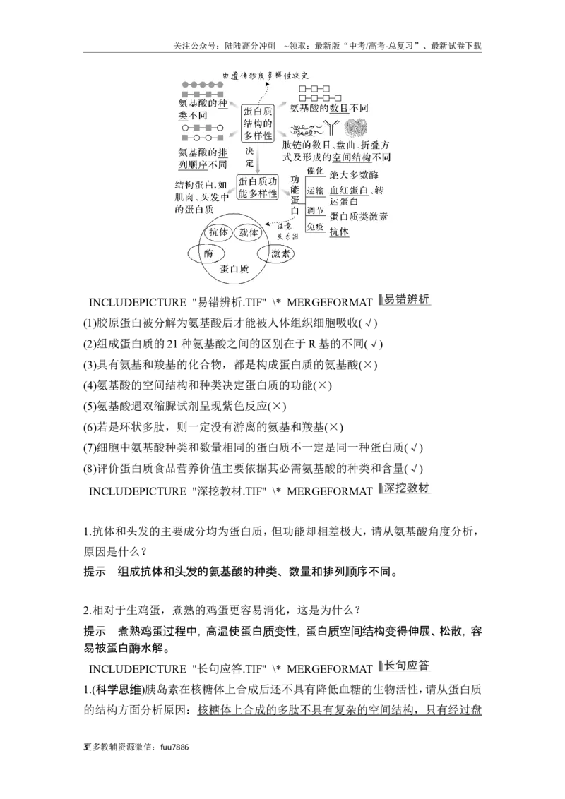 《第3讲蛋白质和核酸_06-生物-高考总复习_一轮复习_2024年_2024高考生物大一轮复习课件讲义新人教版知识总结_2024年高考生物一轮复习讲义（新人教版）_另赠1套Word版题库_必修1》第3页预览