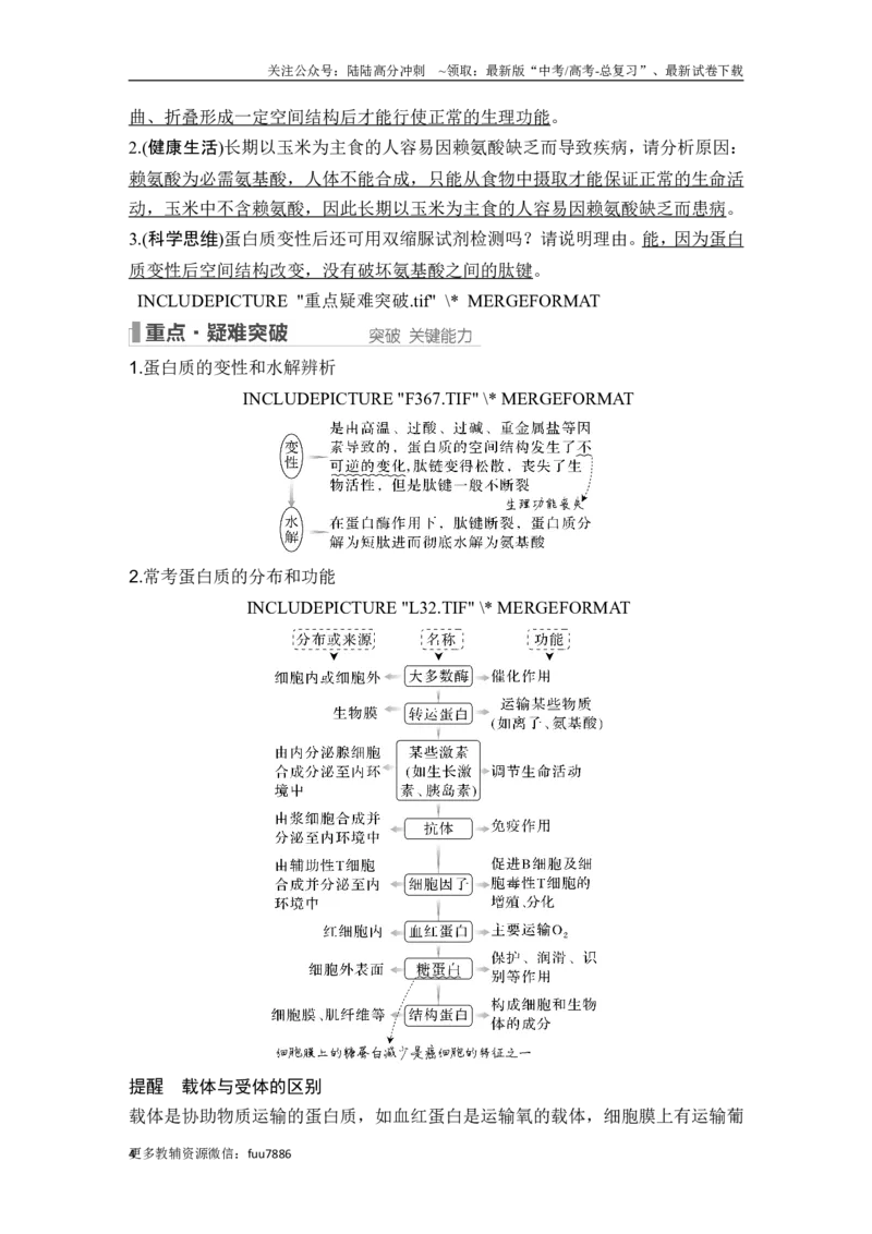 《第3讲蛋白质和核酸_06-生物-高考总复习_一轮复习_2024年_2024高考生物大一轮复习课件讲义新人教版知识总结_2024年高考生物一轮复习讲义（新人教版）_另赠1套Word版题库_必修1》第4页预览