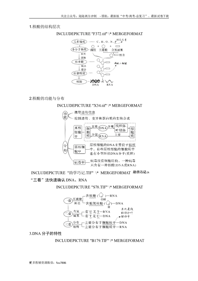 《第3讲蛋白质和核酸_06-生物-高考总复习_一轮复习_2024年_2024高考生物大一轮复习课件讲义新人教版知识总结_2024年高考生物一轮复习讲义（新人教版）_另赠1套Word版题库_必修1》第9页预览