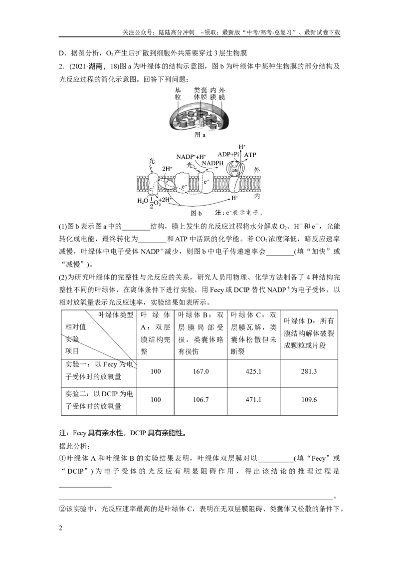 《第3单元　解惑练3　光系统及电子传递链_06-生物-高考总复习_一轮复习_2024年_2024高考生物大一轮复习课件讲义新人教版知识总结_2024年高考生物一轮复习讲义（新人教版）_一轮复习69练》第2页预览