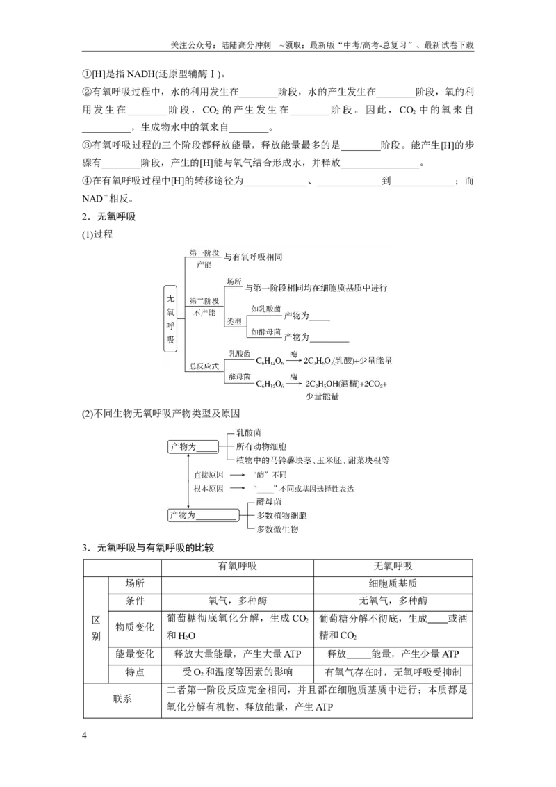 《第3单元　第3课时　细胞呼吸的方式和过程_06-生物-高考总复习_一轮复习_2024年_2024高考生物大一轮复习课件讲义新人教版知识总结_2024年高考生物一轮复习讲义（新人教版）_大一轮复习讲义》第4页预览
