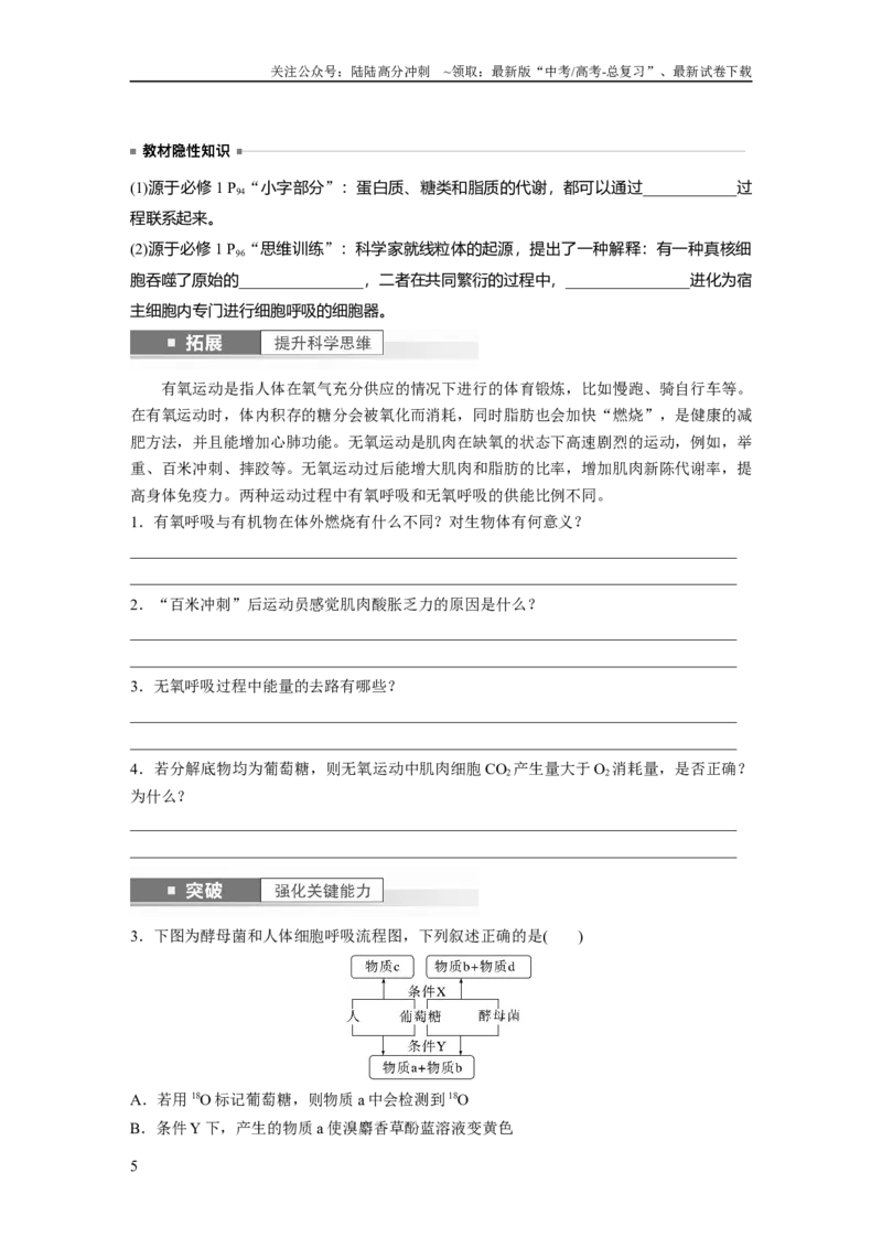 《第3单元　第3课时　细胞呼吸的方式和过程_06-生物-高考总复习_一轮复习_2024年_2024高考生物大一轮复习课件讲义新人教版知识总结_2024年高考生物一轮复习讲义（新人教版）_大一轮复习讲义》第5页预览