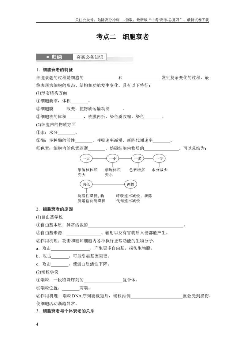 《第4单元　第5课时　细胞的分化、衰老和死亡_06-生物-高考总复习_一轮复习_2024年_2024高考生物大一轮复习课件讲义新人教版知识总结_2024年高考生物一轮复习讲义（新人教版）》第4页预览