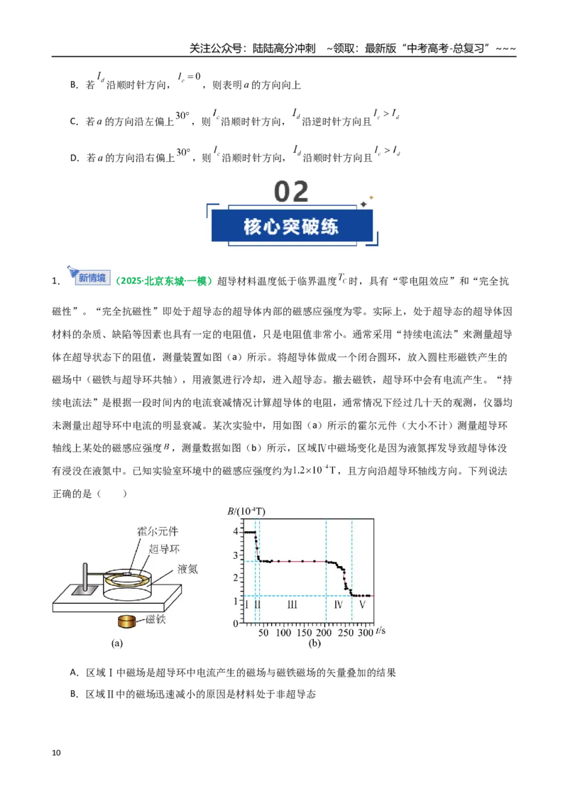 《第46讲磁场及其对电流的作用（专项训练）（全国通用）（学生版）_04-物理-高考总复习_一轮复习_2026年-物理高考一轮复习_2026年高考物理一轮复习讲义+练习+课件（新教材新高考）-G55》第10页预览