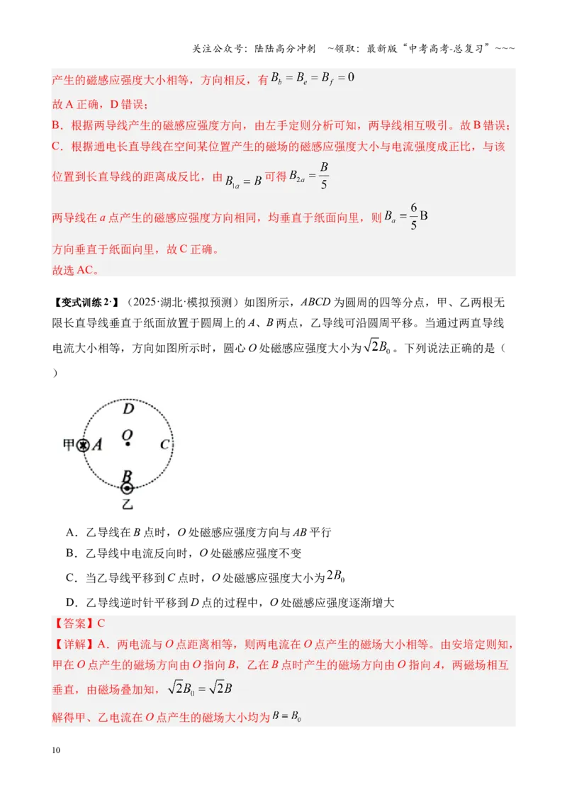 《第46讲磁场及其对电流的作用（复习讲义）（湖南专用）（教师版）_04-物理-高考总复习_一轮复习_2026年-物理高考一轮复习_2026年高考物理一轮课件+讲义+练习（湖南专用）-G331》第10页预览