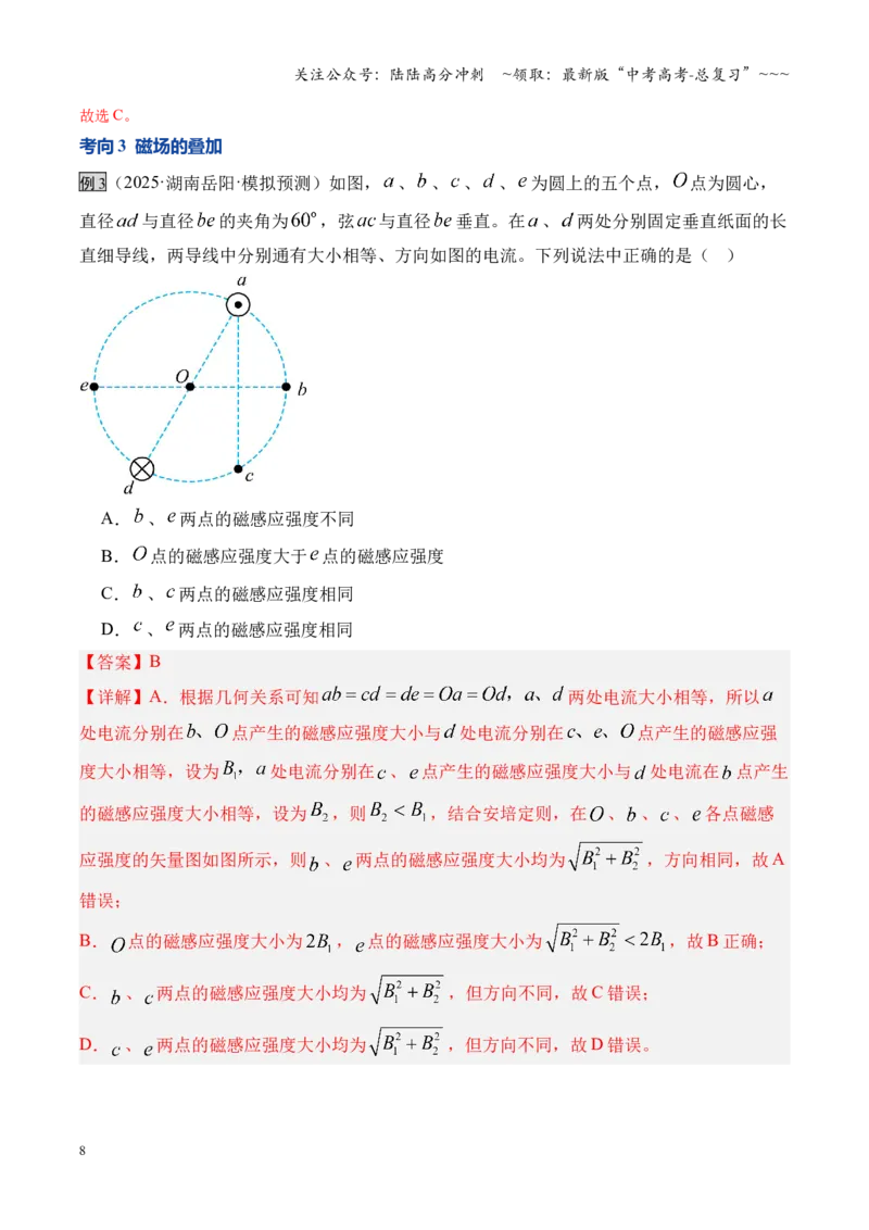 《第46讲磁场及其对电流的作用（复习讲义）（湖南专用）（教师版）_04-物理-高考总复习_一轮复习_2026年-物理高考一轮复习_2026年高考物理一轮课件+讲义+练习（湖南专用）-G331》第8页预览