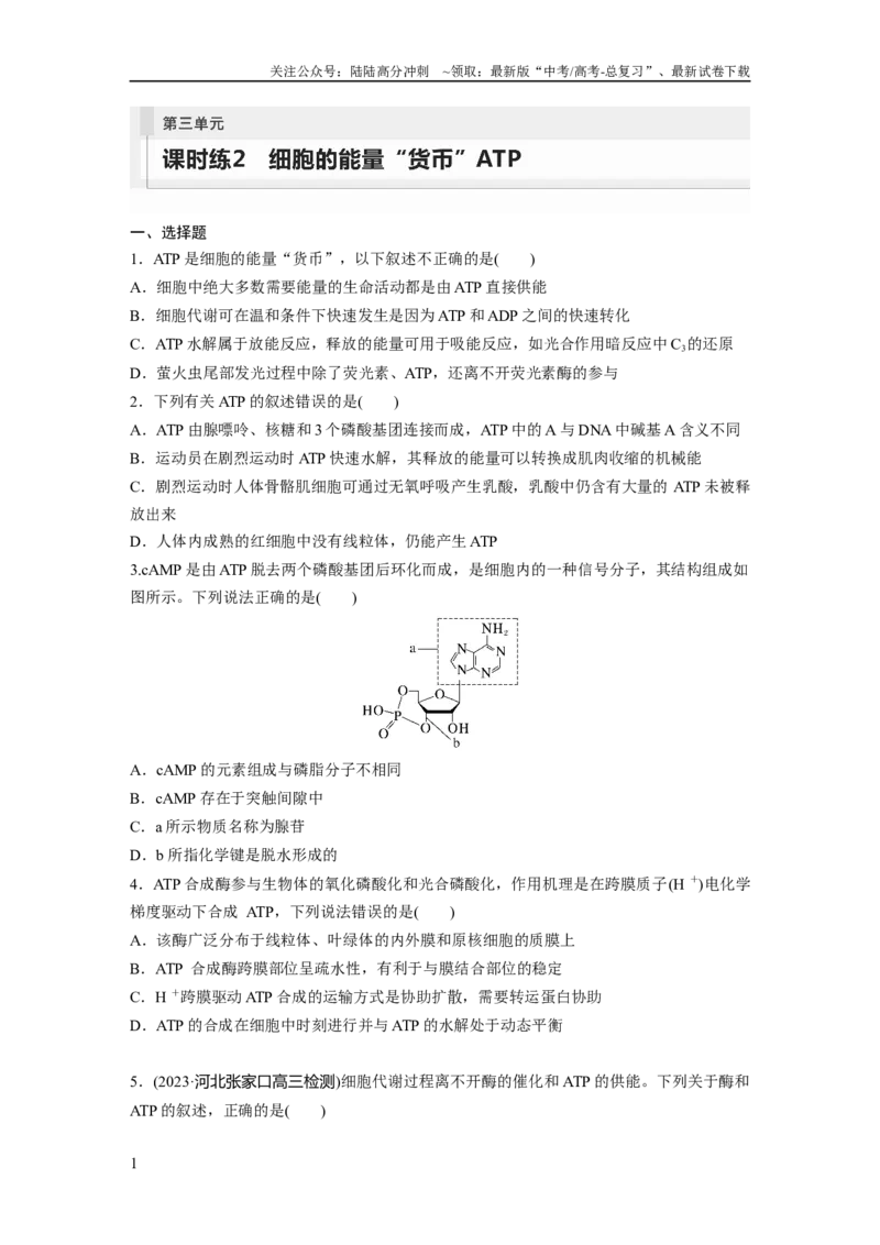 《第3单元　课时练2　细胞的能量“货币”ATP_06-生物-高考总复习_一轮复习_2024年_2024高考生物大一轮复习课件讲义新人教版知识总结_2024年高考生物一轮复习讲义（新人教版）_一轮复习69练》第1页预览