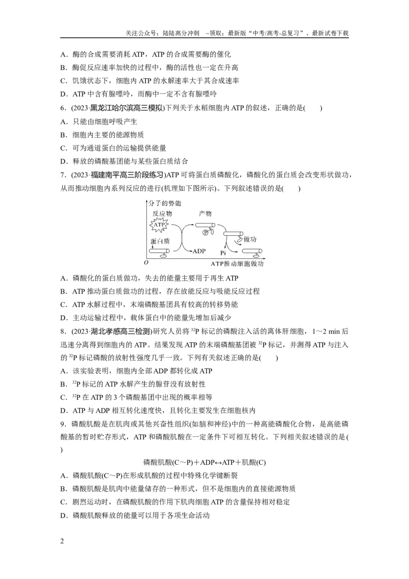 《第3单元　课时练2　细胞的能量“货币”ATP_06-生物-高考总复习_一轮复习_2024年_2024高考生物大一轮复习课件讲义新人教版知识总结_2024年高考生物一轮复习讲义（新人教版）_一轮复习69练》第2页预览
