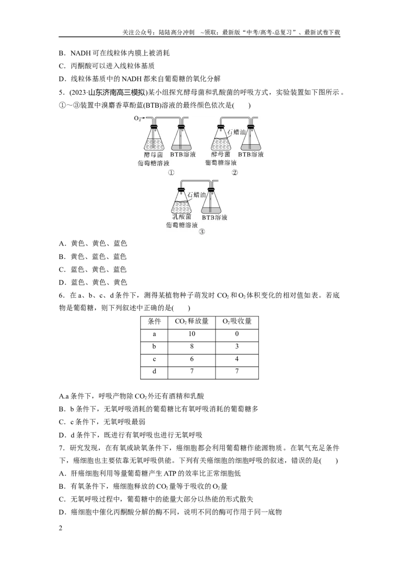 《第3单元　课时练3　细胞呼吸的方式和过程_06-生物-高考总复习_一轮复习_2024年_2024高考生物大一轮复习课件讲义新人教版知识总结_2024年高考生物一轮复习讲义（新人教版）_一轮复习69练》第2页预览