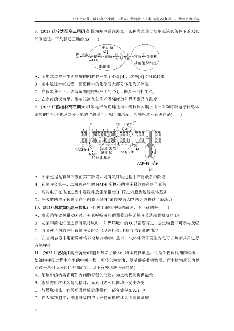 《第3单元　课时练3　细胞呼吸的方式和过程_06-生物-高考总复习_一轮复习_2024年_2024高考生物大一轮复习课件讲义新人教版知识总结_2024年高考生物一轮复习讲义（新人教版）_一轮复习69练》第3页预览