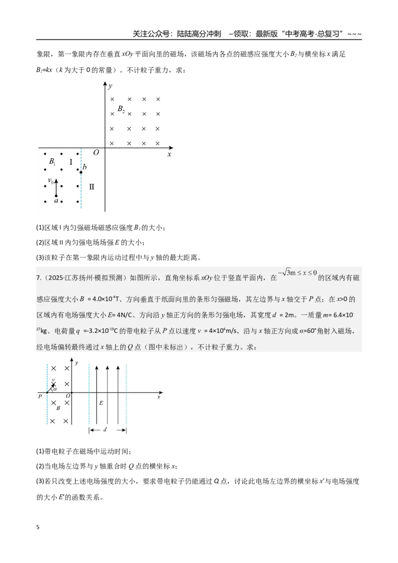 《第49讲带电粒子在组合场中的运动（专项训练）（湖南专用）（学生版）_04-物理-高考总复习_一轮复习_2026年-物理高考一轮复习_2026年高考物理一轮课件+讲义+练习（湖南专用）-G331》第5页预览