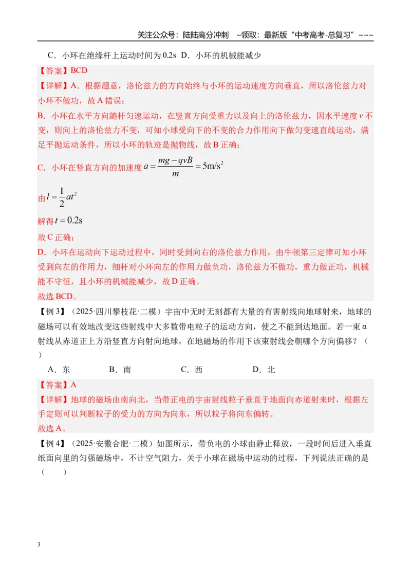 《第54讲磁场对运动电荷（带电体）的作用-（讲义）（教师版）_04-物理-高考总复习_一轮复习_2026年-物理高考一轮复习_2026年高考物理一轮复习精讲精练-G367_资料》第3页预览