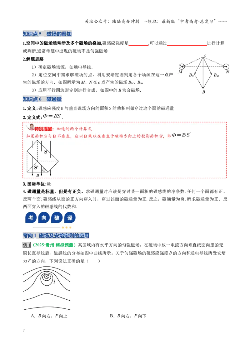 《第46讲磁场及其对电流的作用（复习讲义）（全国通用）（学生版）_04-物理-高考总复习_一轮复习_2026年-物理高考一轮复习_2026年高考物理一轮复习讲义+练习+课件（新教材新高考）-G55》第7页预览