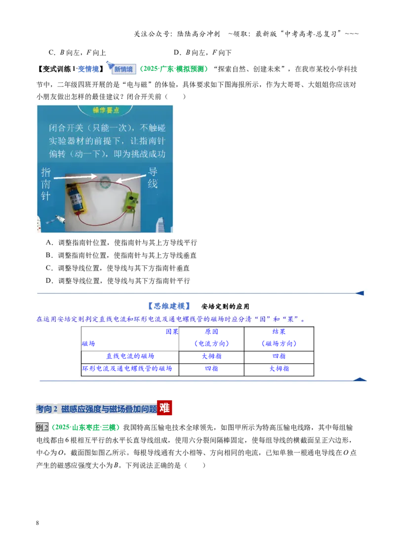 《第46讲磁场及其对电流的作用（复习讲义）（全国通用）（学生版）_04-物理-高考总复习_一轮复习_2026年-物理高考一轮复习_2026年高考物理一轮复习讲义+练习+课件（新教材新高考）-G55》第8页预览