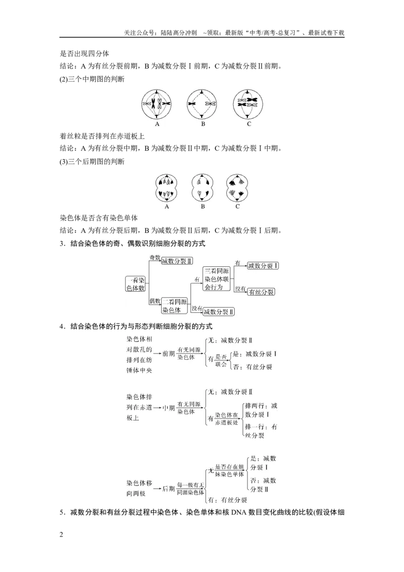 《第4单元　第4课时　减数分裂与有丝分裂的比较及观察蝗虫精母细胞减数分裂装片_06-生物-高考总复习_一轮复习_2024年_2024高考生物大一轮复习课件讲义新人教版知识总结_学生版在此文件夹》第2页预览