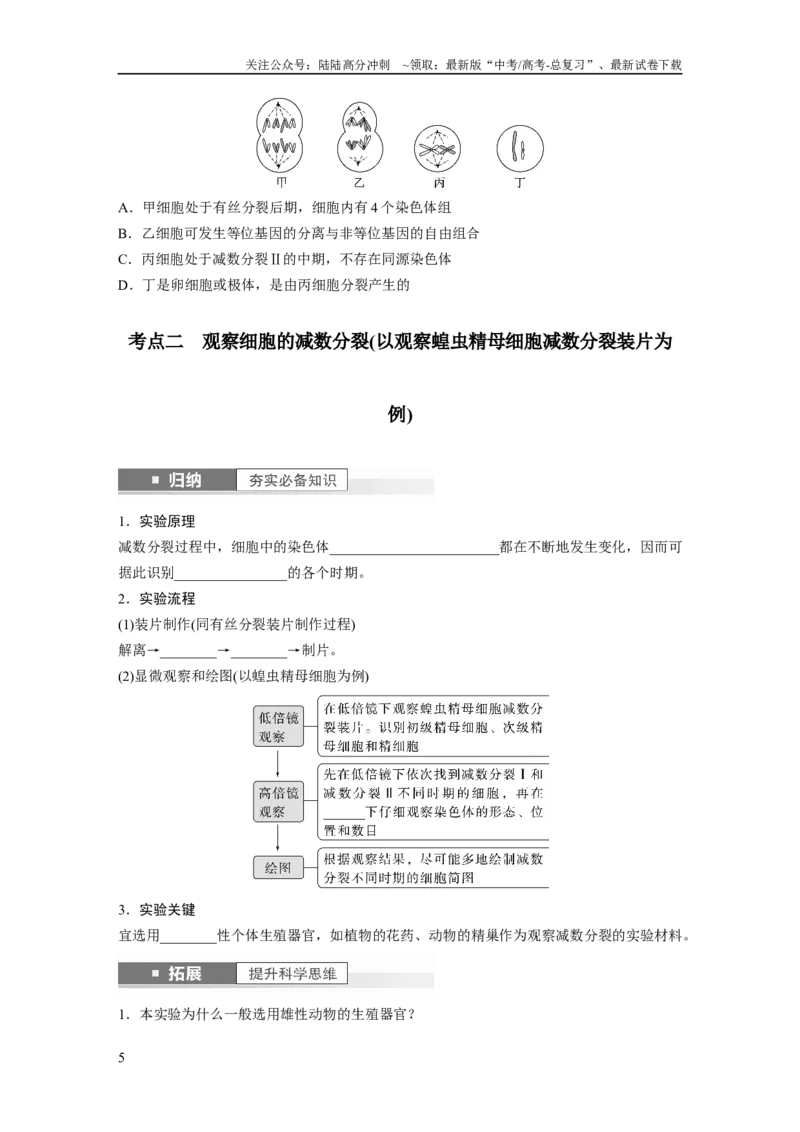 《第4单元　第4课时　减数分裂与有丝分裂的比较及观察蝗虫精母细胞减数分裂装片_06-生物-高考总复习_一轮复习_2024年_2024高考生物大一轮复习课件讲义新人教版知识总结_学生版在此文件夹》第5页预览