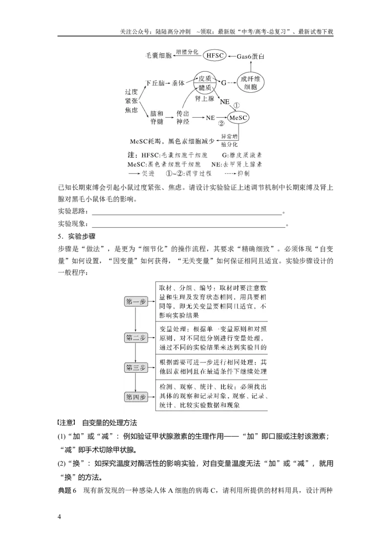 《第3单元　微专题一　实验技能专题_06-生物-高考总复习_一轮复习_2024年_2024高考生物大一轮复习课件讲义新人教版知识总结_2024年高考生物一轮复习讲义（新人教版）_学生版在此文件夹》第4页预览