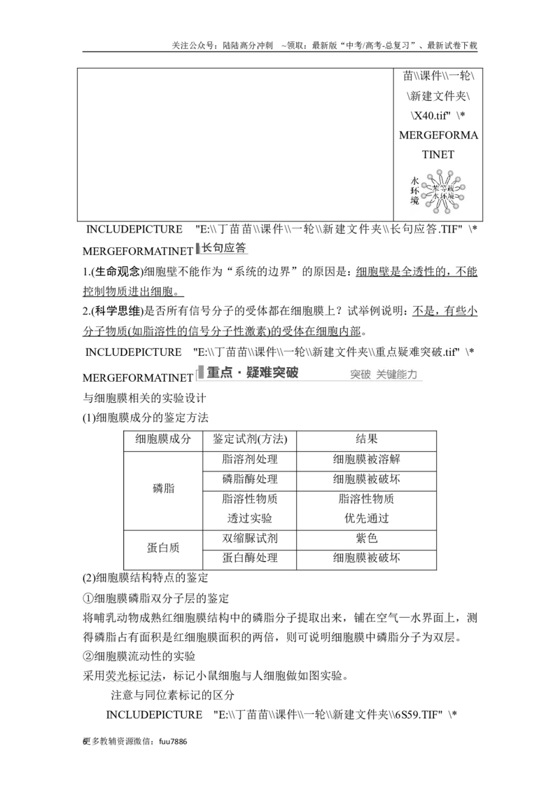 《第4讲细胞膜与细胞核_06-生物-高考总复习_一轮复习_2024年_2024高考生物大一轮复习课件讲义新人教版知识总结_2024年高考生物一轮复习讲义（新人教版）_另赠1套Word版题库_必修1》第6页预览
