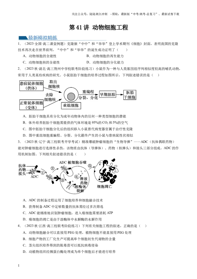 《第41讲动物细胞工程（练习）（原卷版）_06-生物-高考总复习_一轮复习_2024年_2024年高考生物一轮复习讲练测(课件+讲义+练习)（新高考）_讲义+练习》第1页预览