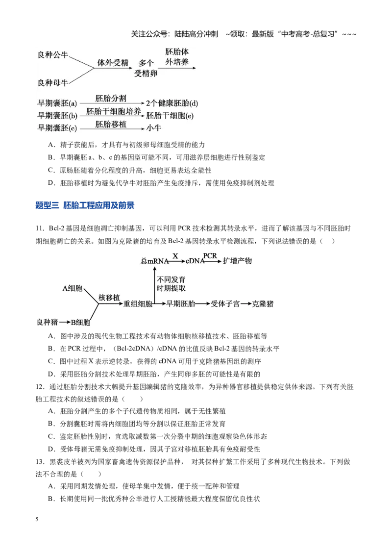 《第41讲胚胎工程（专项训练）（学生版）_06-生物-高考总复习_一轮复习_2026年-生物高考一轮复习_2026年高考生物一轮课件+讲义+练习（湖南专用）-G331》第5页预览