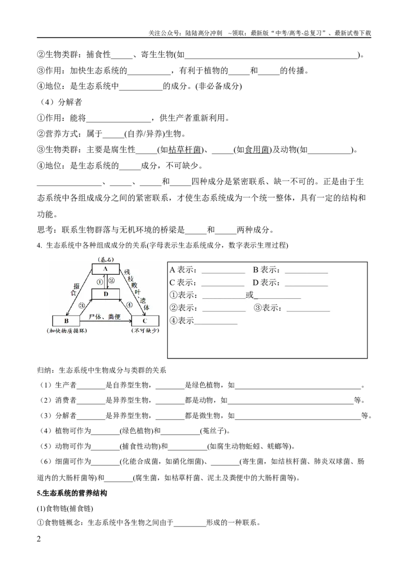 《第3章生态系统及其稳定性（填空版）_06-生物-高考总复习_专项复习_2024年_2024年高考生物必背知识清单（人教版2019）_资料_选择性必修2》第2页预览