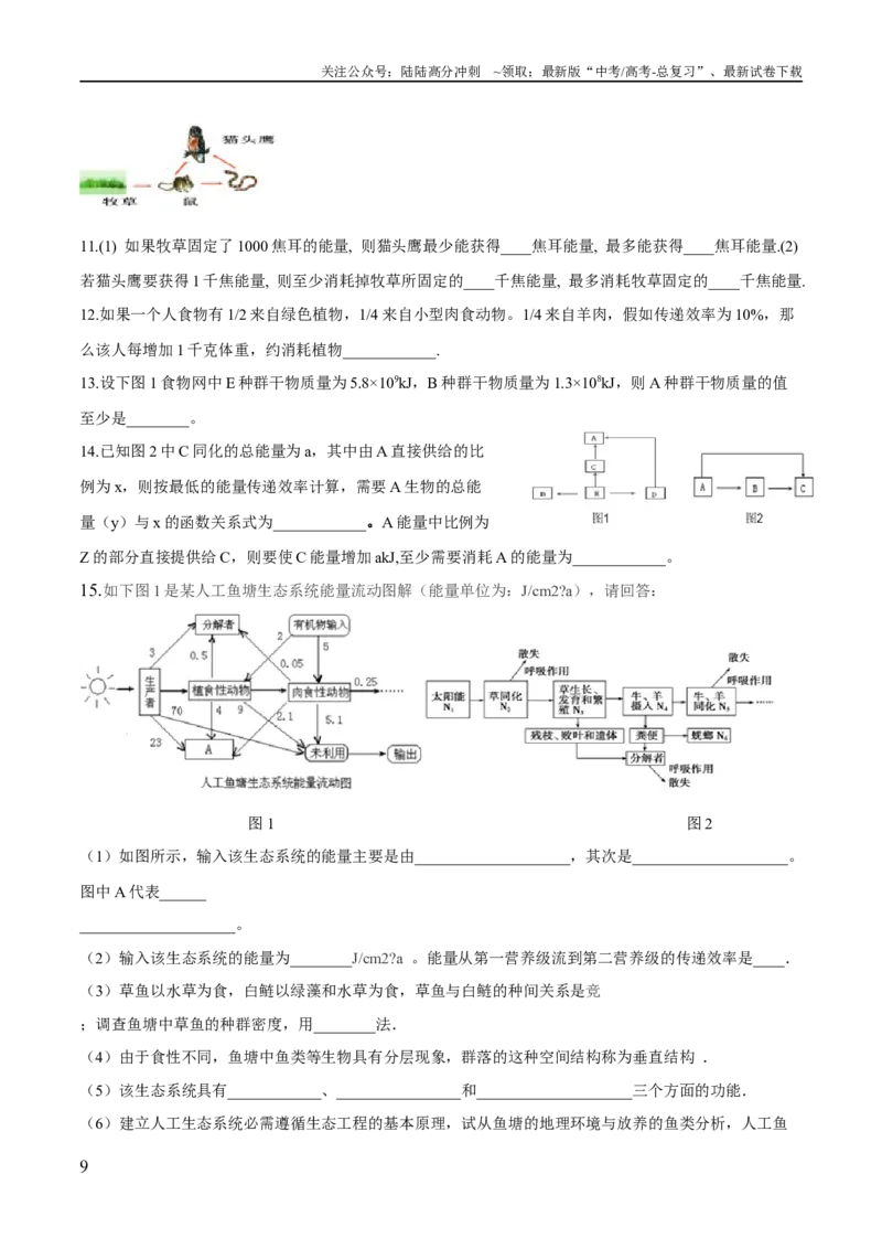 《第3章生态系统及其稳定性（填空版）_06-生物-高考总复习_专项复习_2024年_2024年高考生物必背知识清单（人教版2019）_资料_选择性必修2》第9页预览