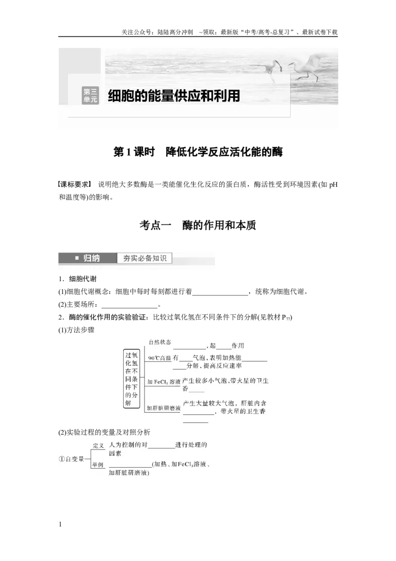《第3单元　第1课时　降低化学反应活化能的酶_06-生物-高考总复习_一轮复习_2024年_2024高考生物大一轮复习课件讲义新人教版知识总结_2024年高考生物一轮复习讲义（新人教版）》第1页预览