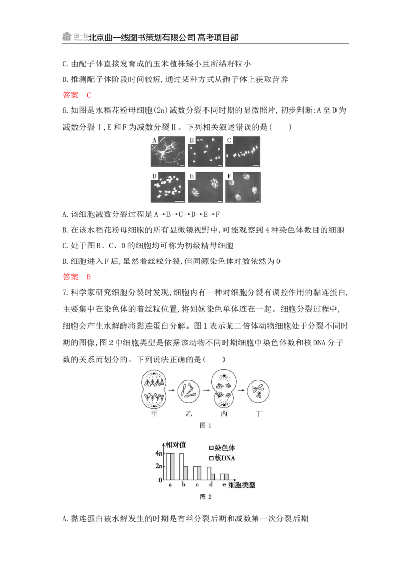 《1_专题过关检测练Word-第6章　细胞的生命历程_2026版教学资源包_202653高考总复习A版_山东版_2026版.山东版.选考总复习.生物.5·3A版_第1部分分子与细胞_第6章细胞的生命历程_6_专题检测》第4页预览